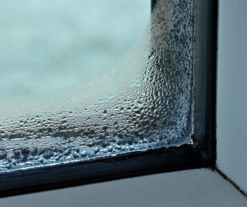 Window condensation in a Saskatchewan home during fall.