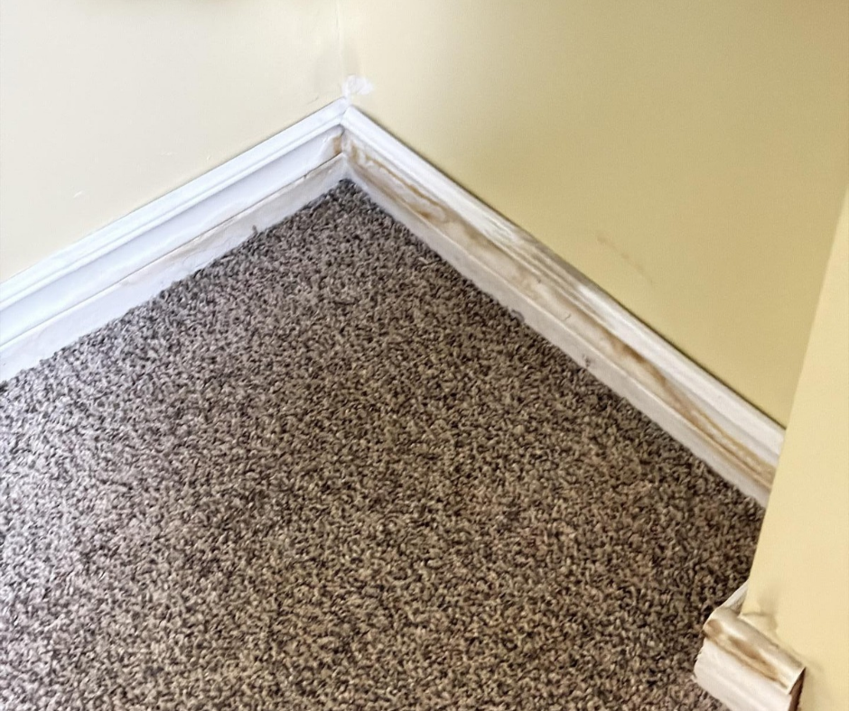 Early signs of mold growth around moisture prone area.