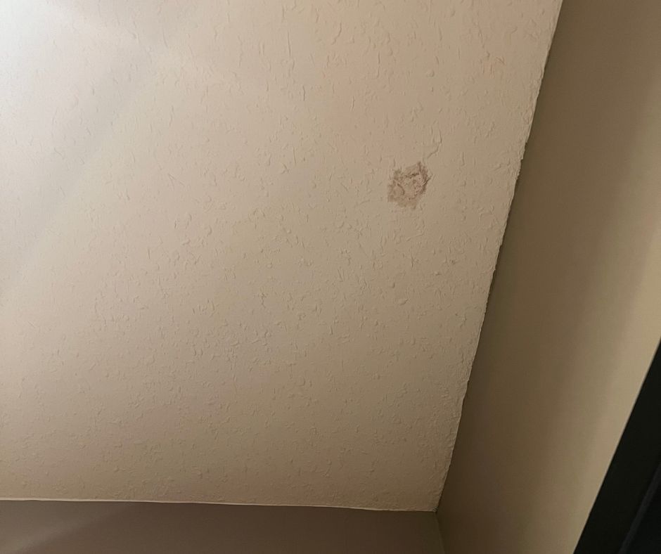 Visible sign of small water staining on the ceiling.