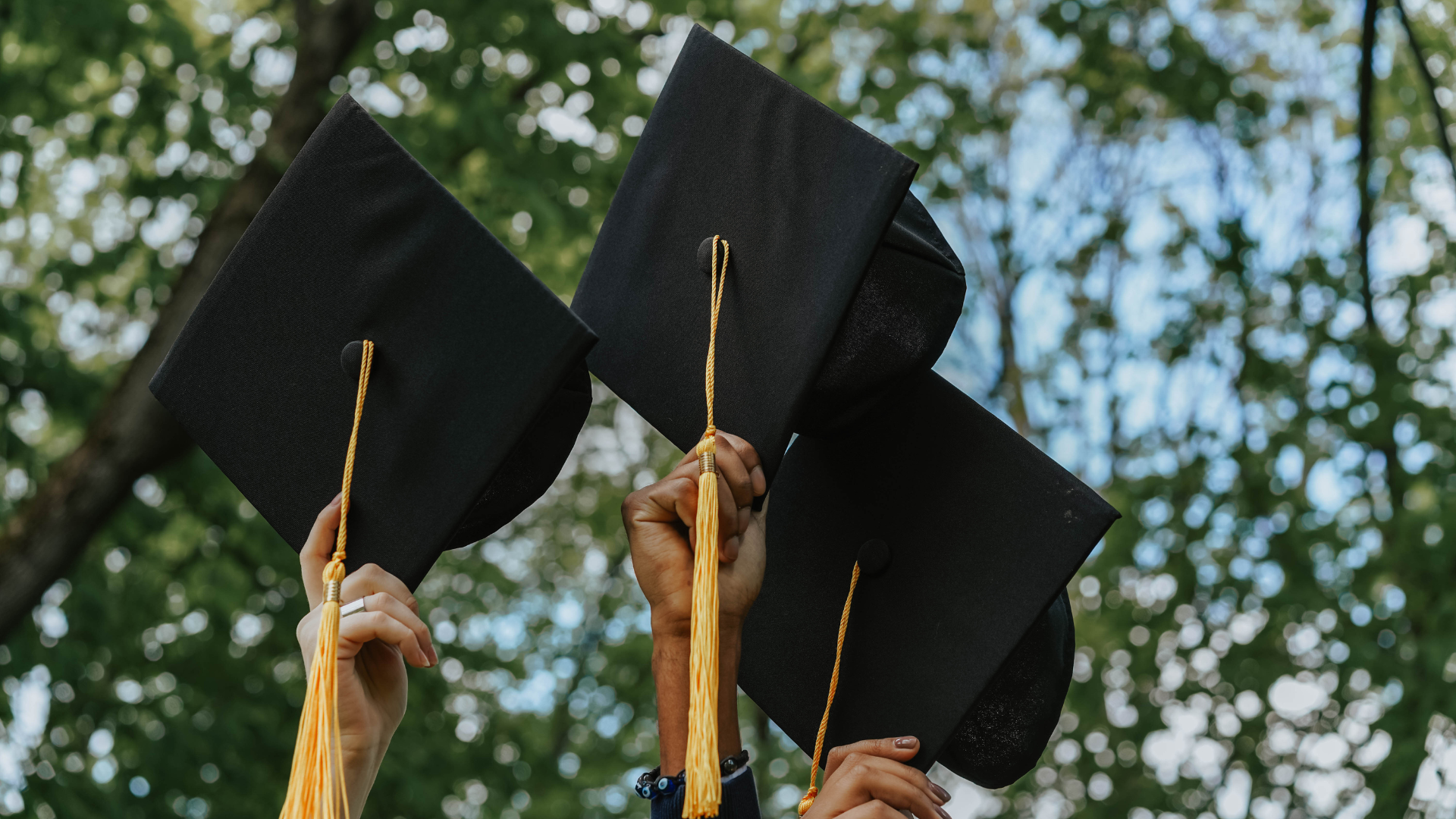 Three graduation caps with yellow tassels held up against green trees