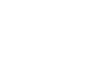 Bolt PR Logo