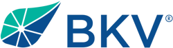 BKV logo