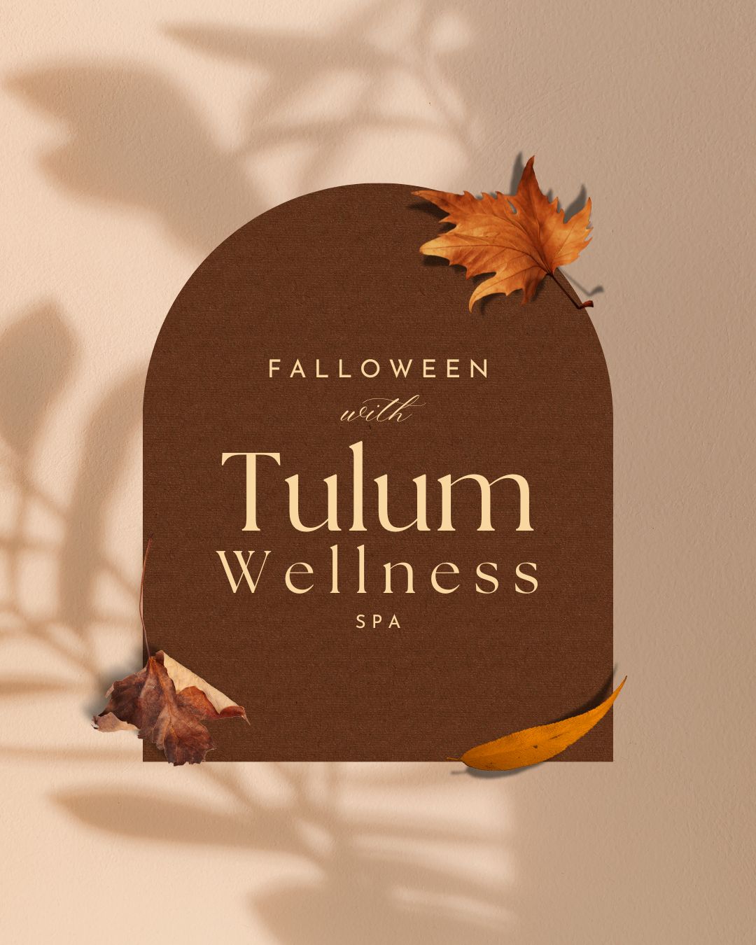 Beyond the Peel: Your Guide to Falloween Skin Transformation