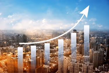 Growth Chart in the city