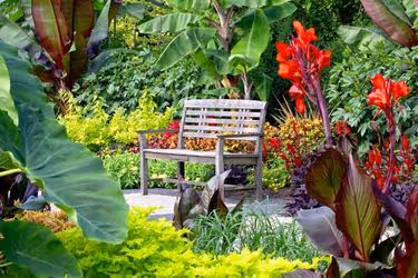 Garden with a bench