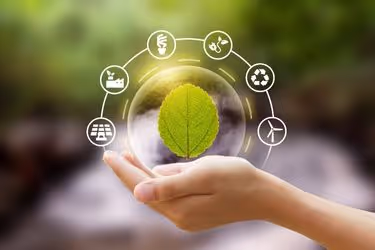 Environmental Sustainability Concept