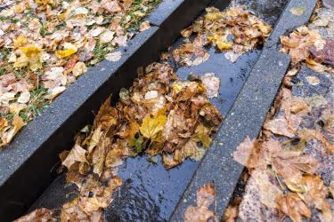Drainage with leaves