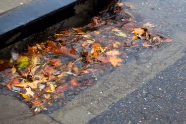 Clogged storm drain
