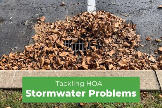 Tackling HOA Stormwater Problems - Drainage with a lot of leaves