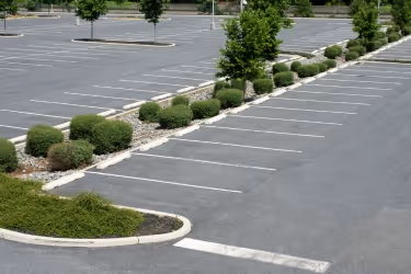 Green space in parking lot