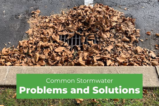 Common Stormwater Problems and Solutions - Blocked Basin
