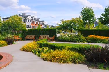 Landscaping in an HOA community