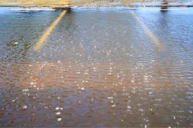 Flooded parking lot