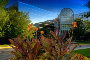 Commercial office with green infrastructure