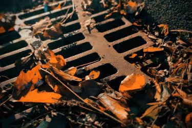 Debris in the drainage