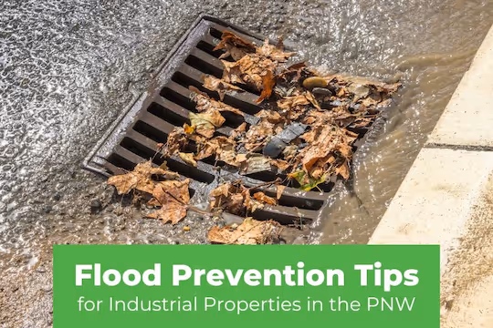 Flood Prevention Tips for Industrial Properties in the Pacific Northwest - Catch Basin with leaves