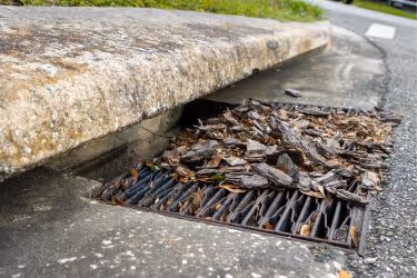 Catch Basin with debris