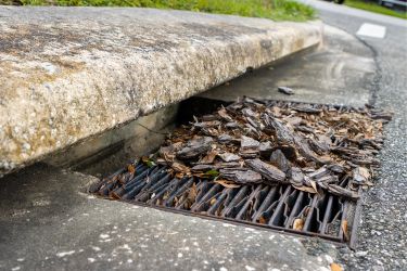 Catch Basin with debris