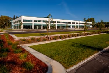 Bioswale outside an industrial building