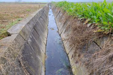 Cracks on basin