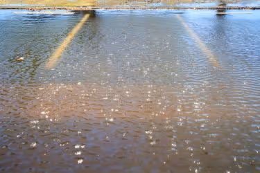 Flooded Parking Lot
