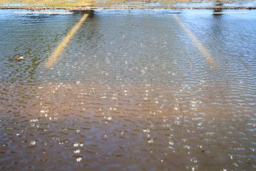 Flooded Parking Lot