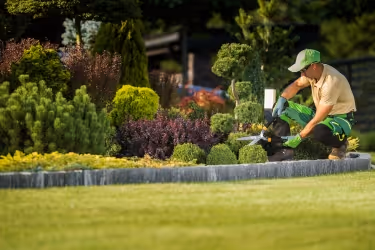 Landscaping maintenance