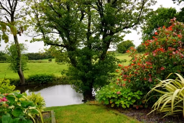 Landscaping next to a pond