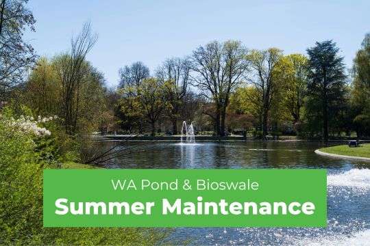 WA Pond & Bioswale Summer Maintenance