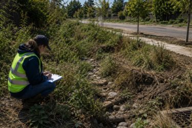 Woman performing an inspection in a dry, overgrown bioswale