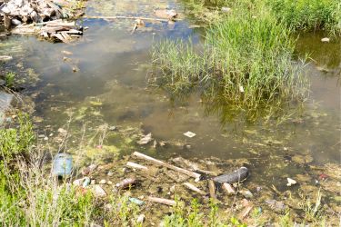 Poor Pond Maintenance