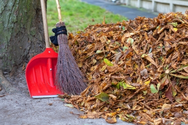 Cleaning leaves and debris