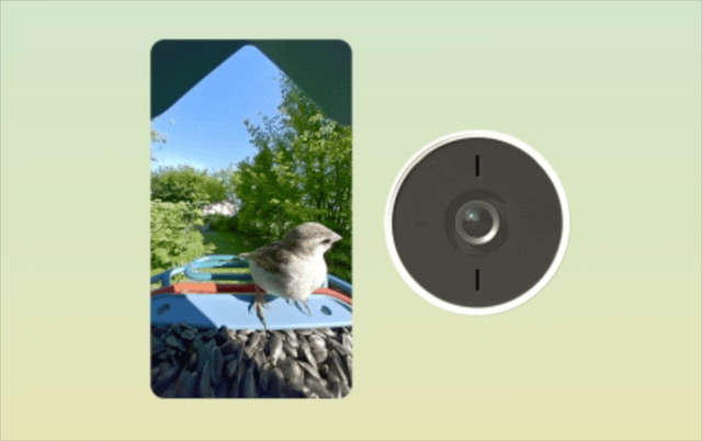 Landscape or portrait