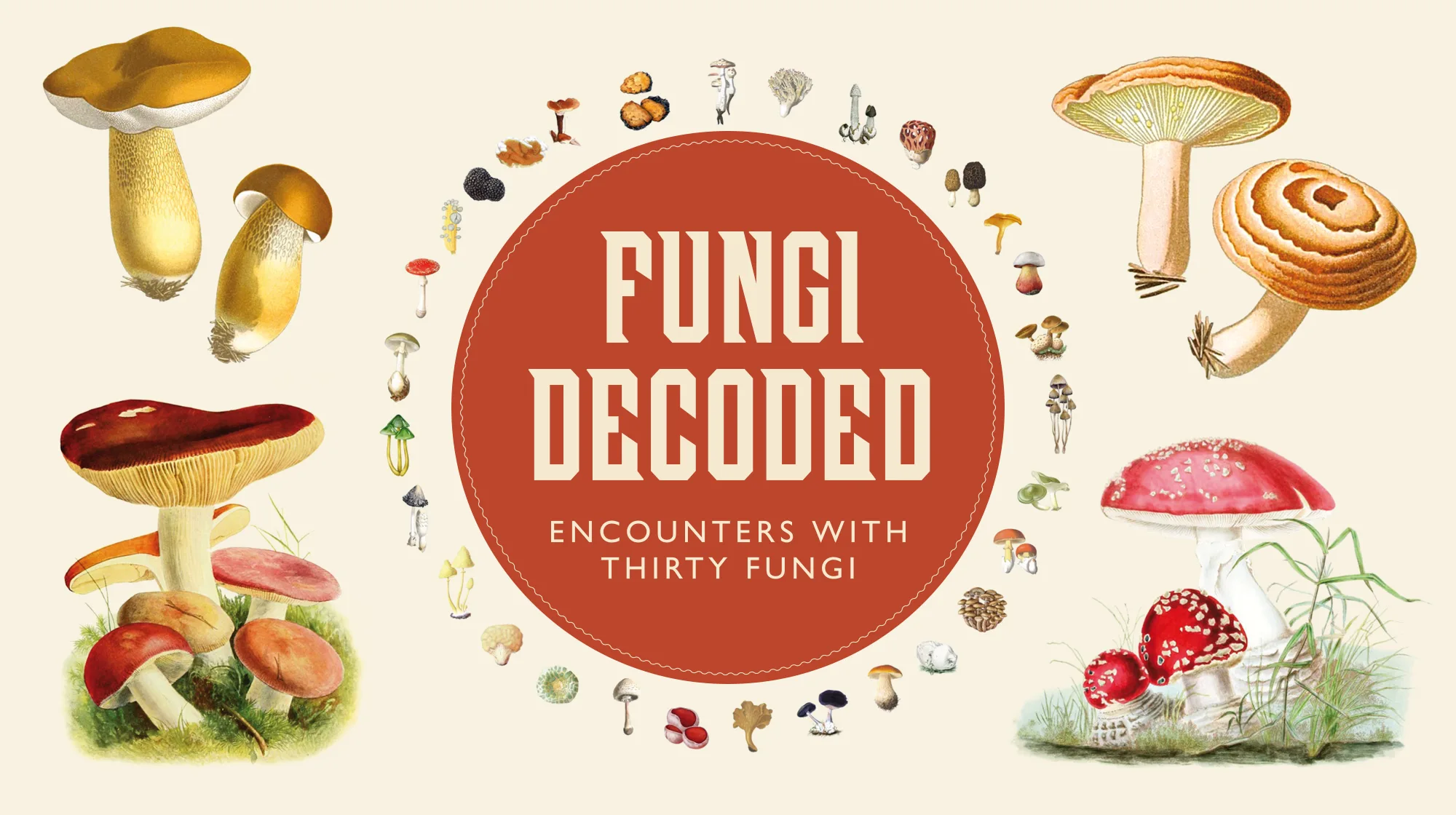 Fungi Decoded