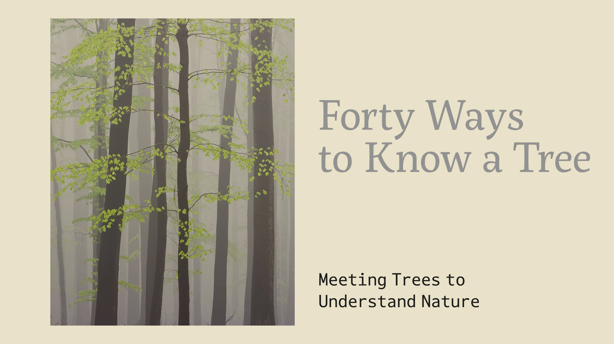 Forty Ways to Know a Tree