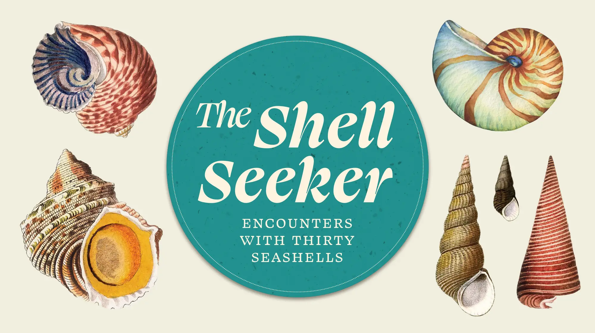 The Shell Seeker