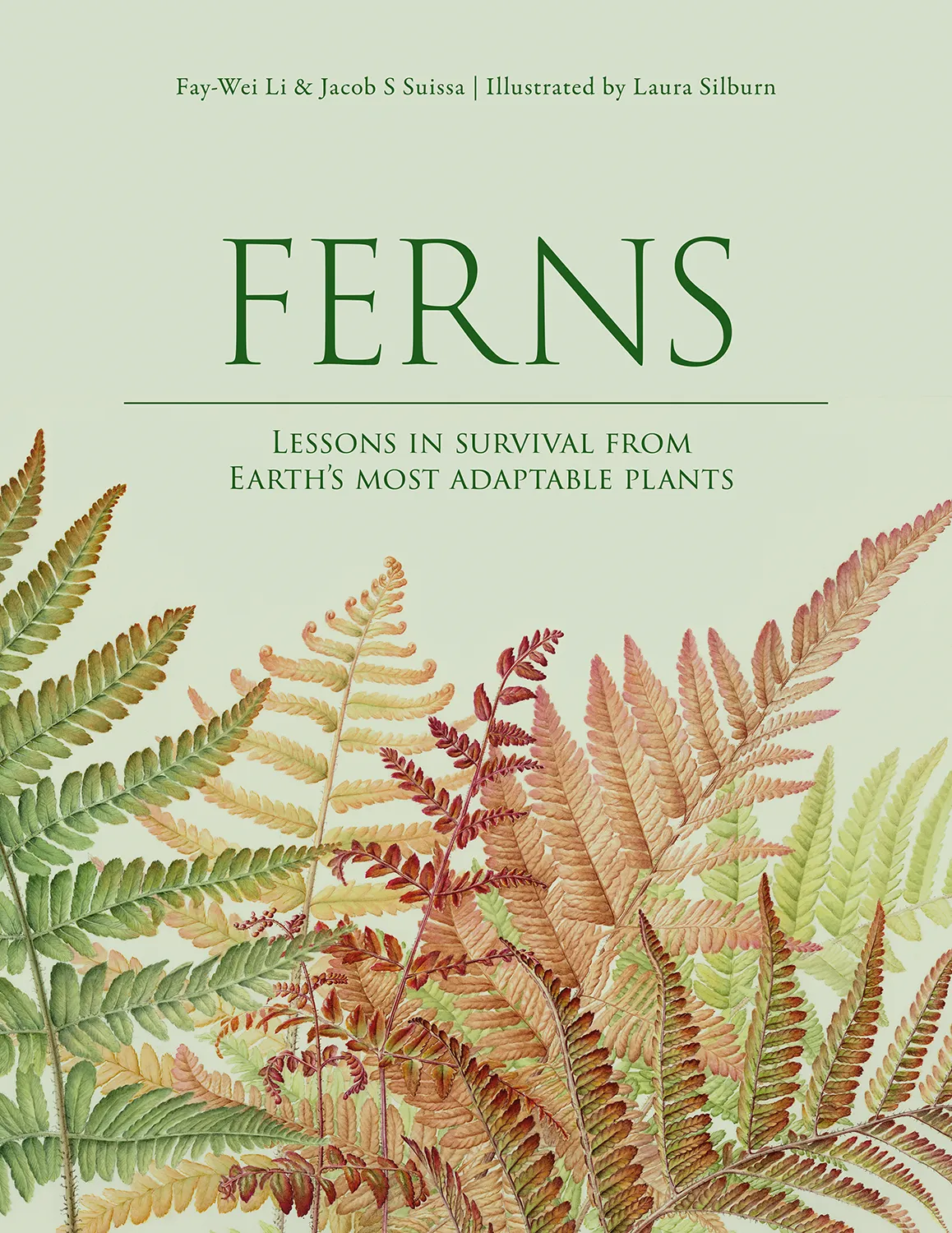 Ferns