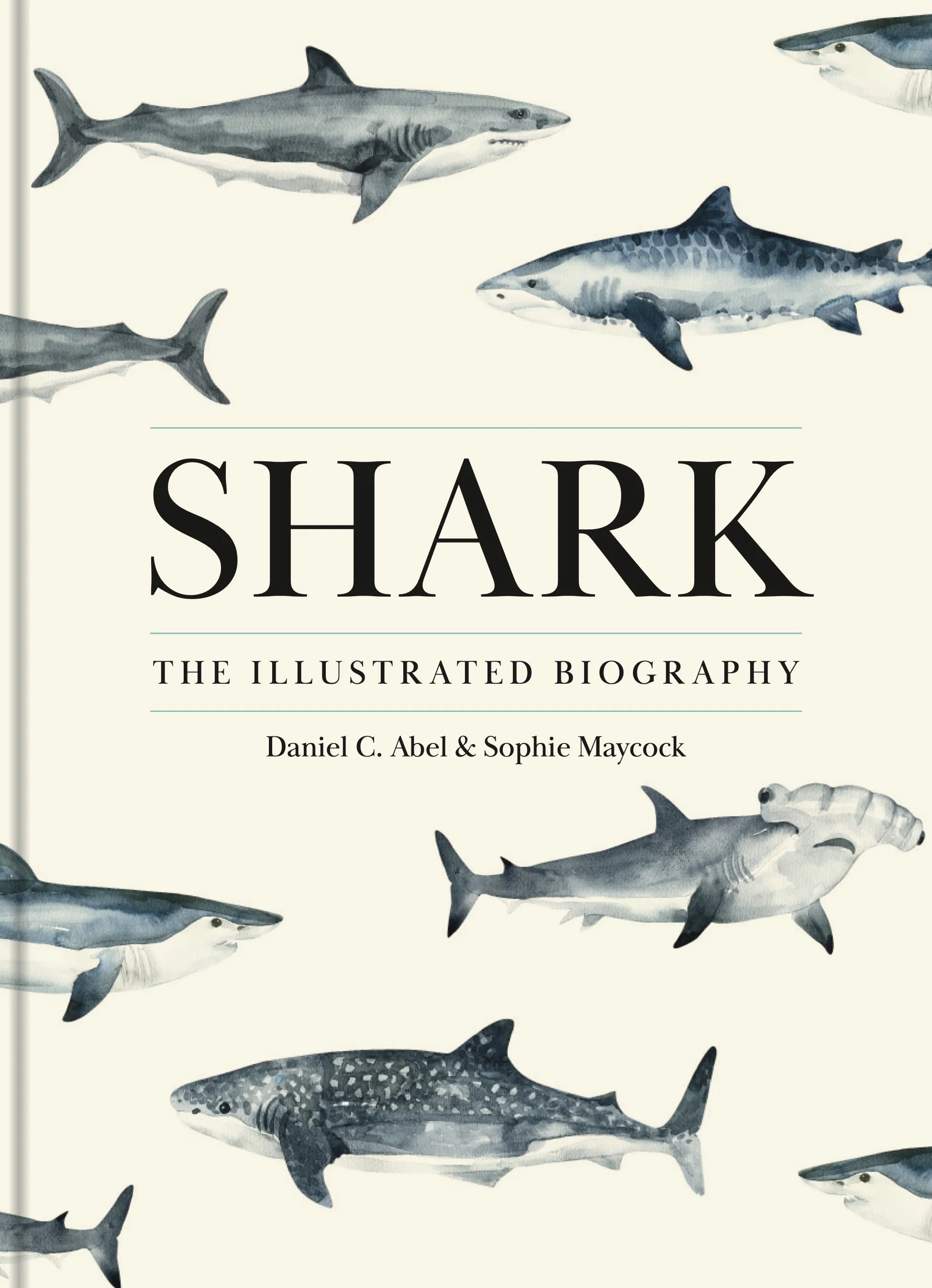 Shark