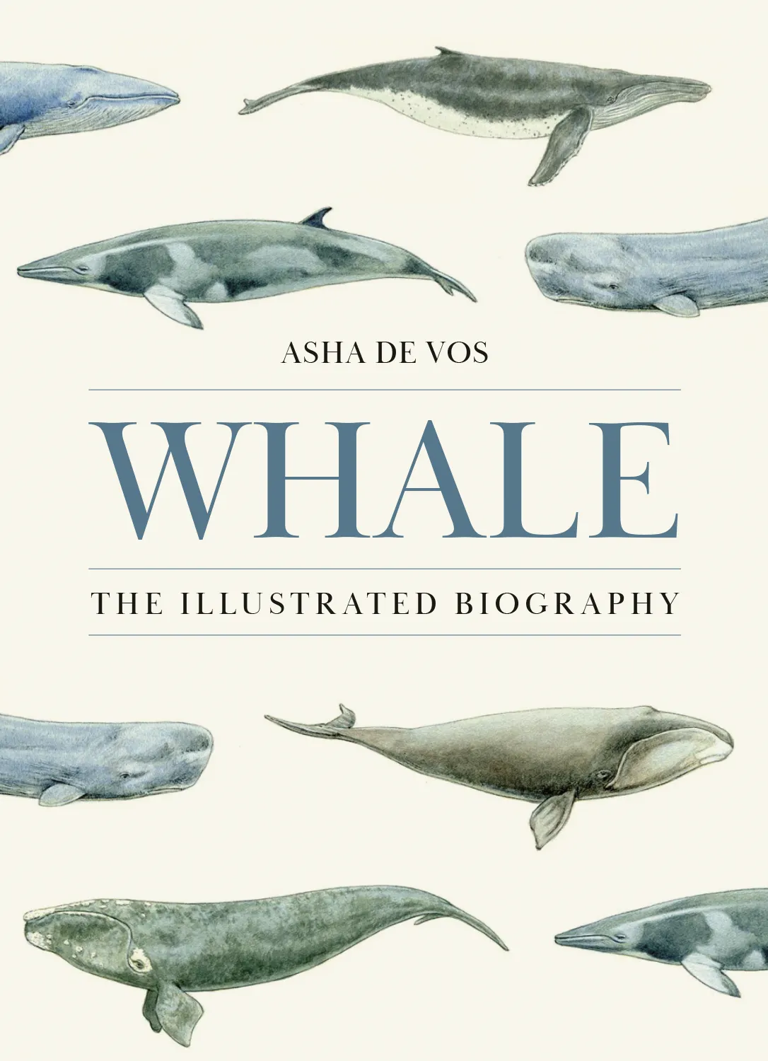 Whale