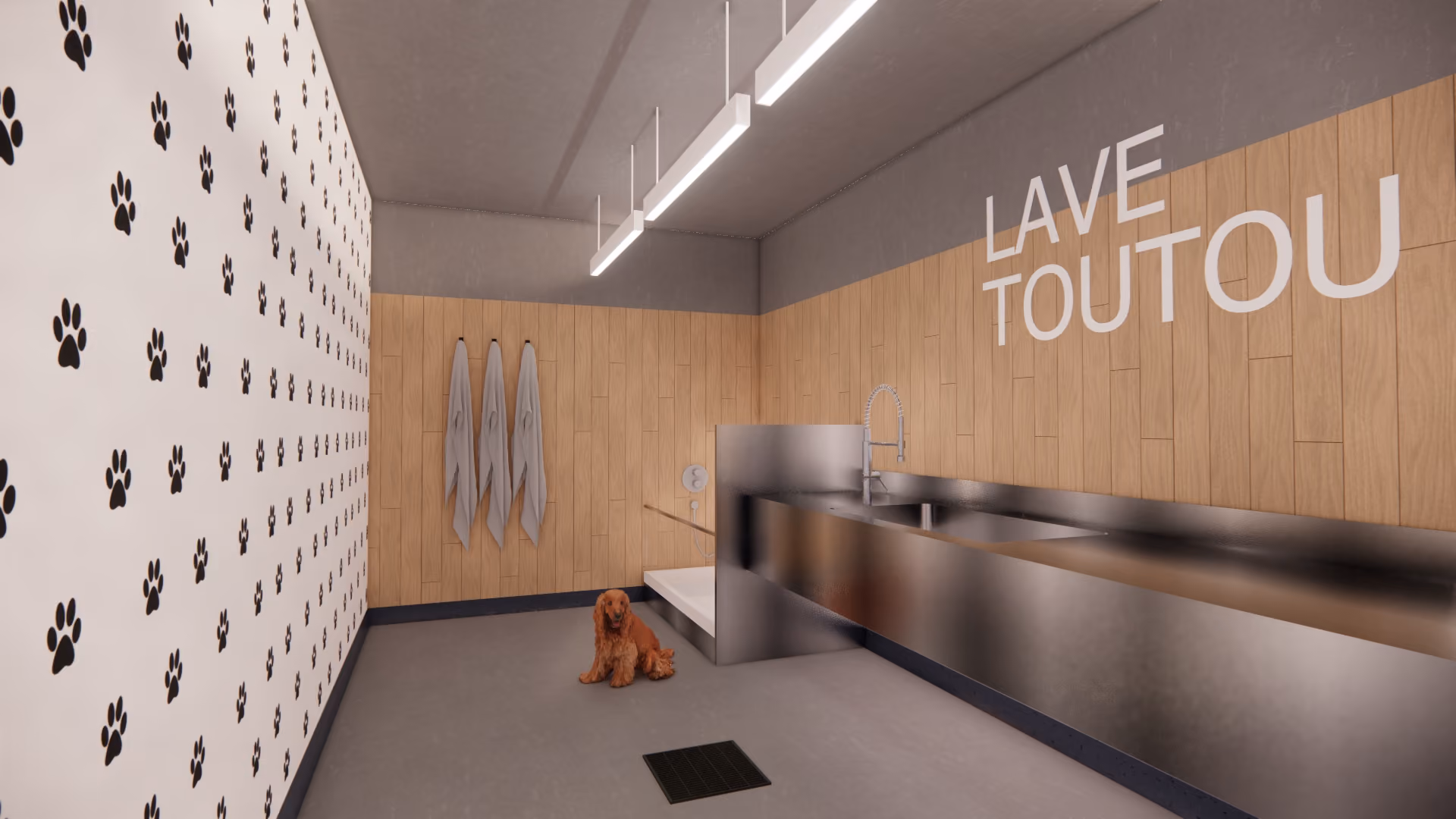 lave toutou Cimes Repentigny