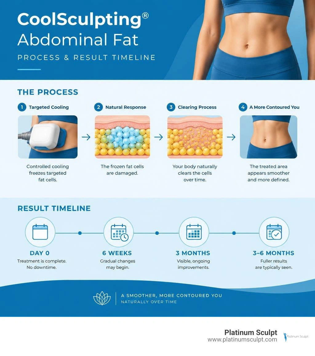 CoolSculpting abdominal fat process and result timeline infographic CoolSculpting abdominal fat process and result timeline infographic