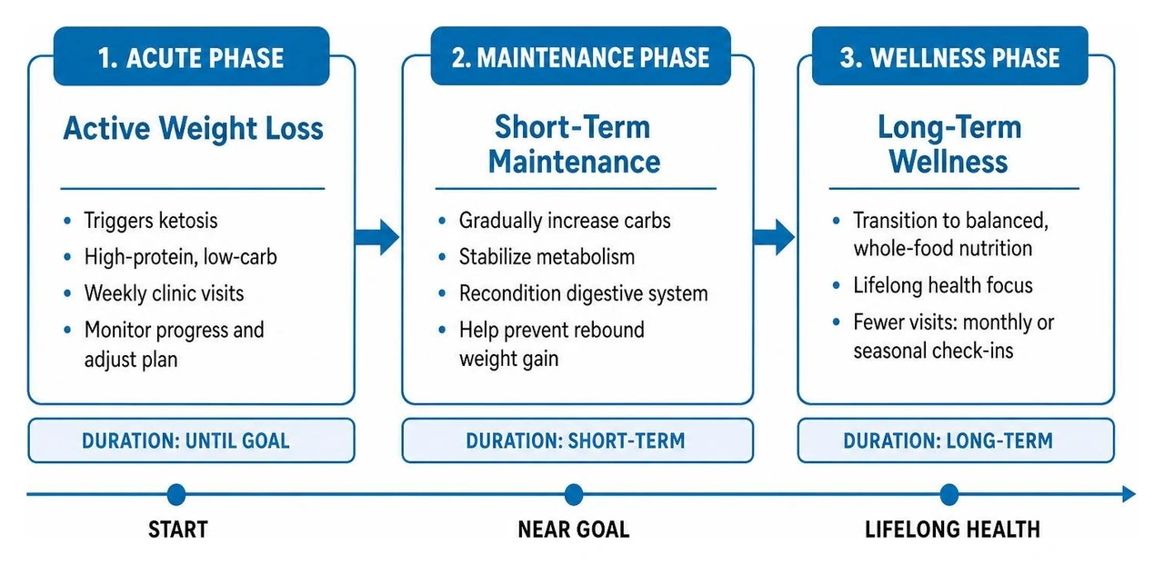 Flowchart showing the transition from Acute Phase to Maintenance to Wellness Phase