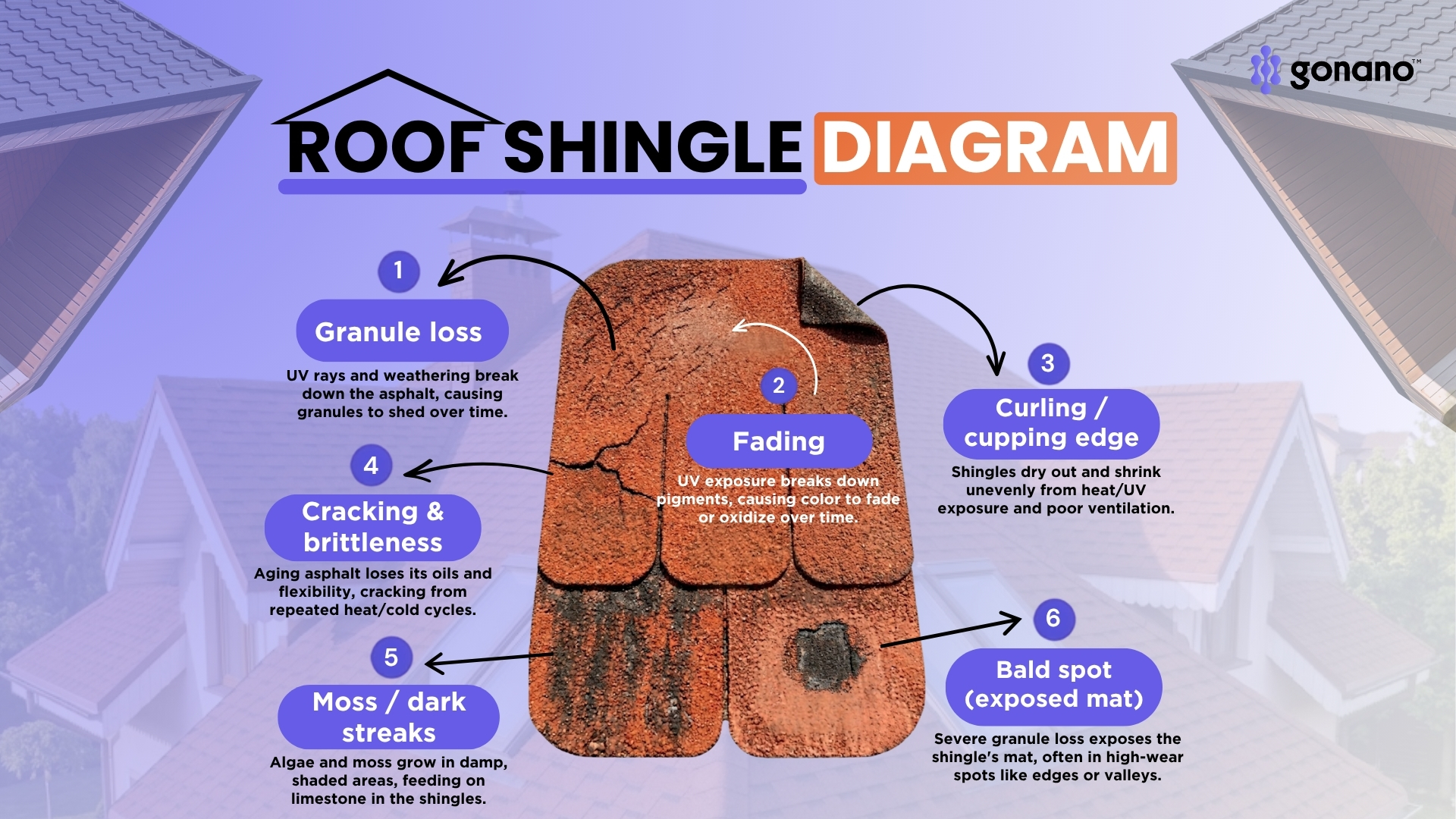 Diagram of an aging asphalt shingle labeling granule loss, curling edges, cracking, bald spots, and moss