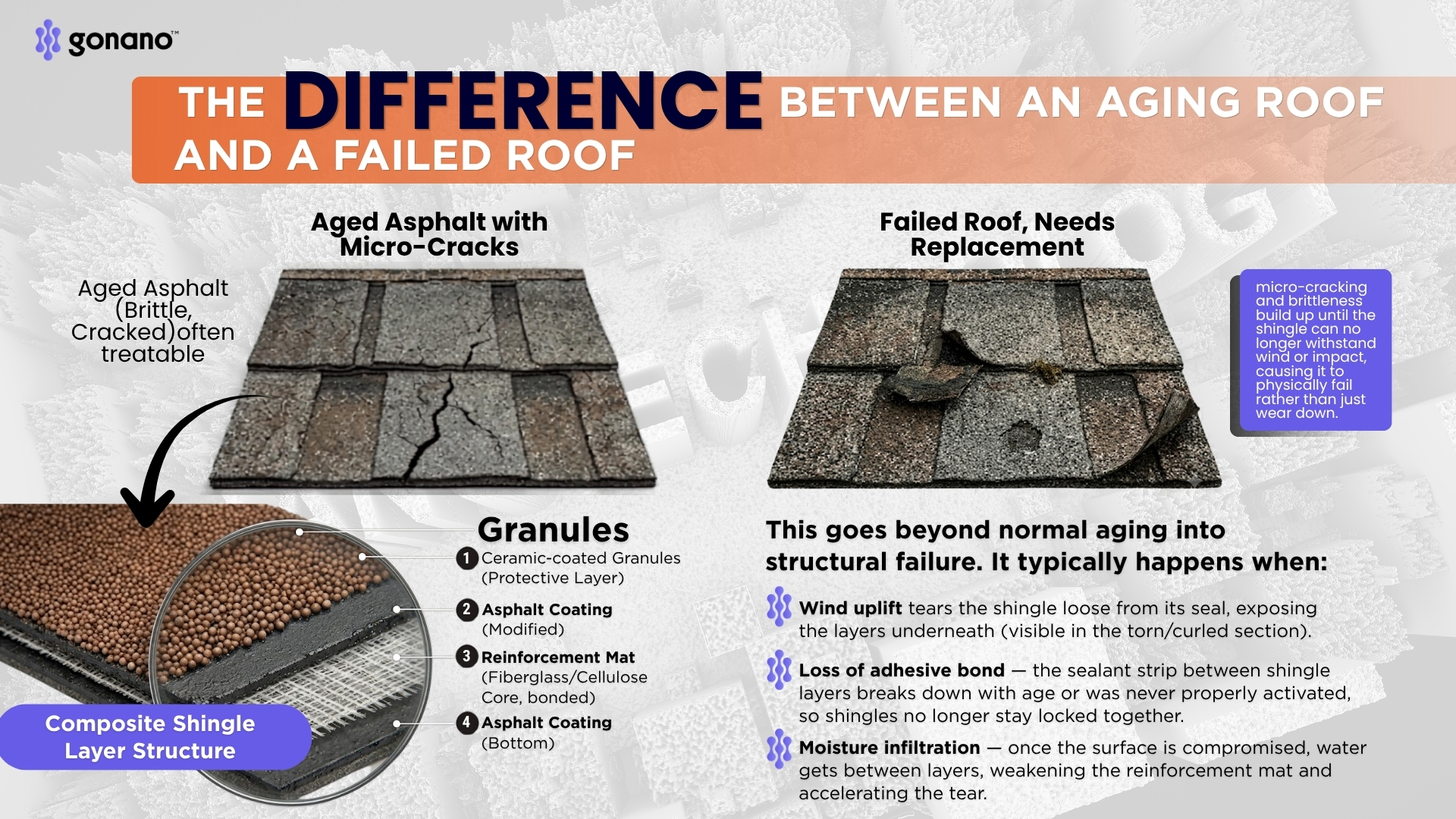 Side-by-side comparison of an aging but sound roof (treatable) versus a failed roof (replace)