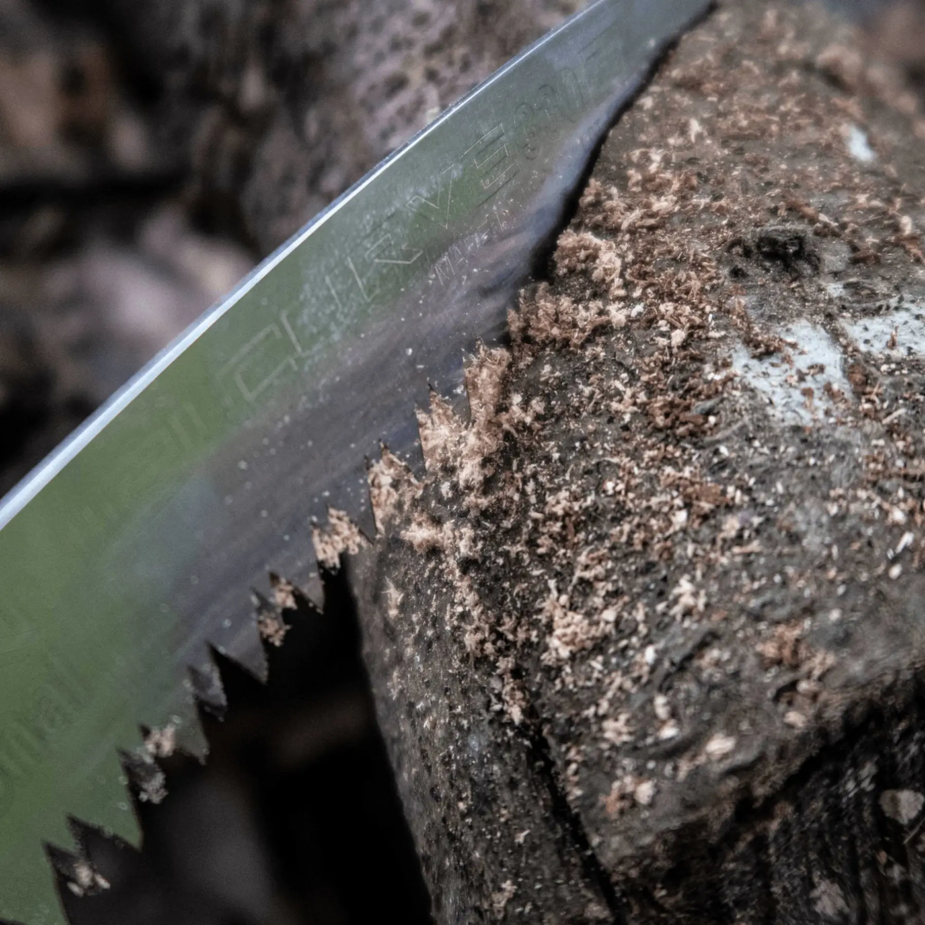 Arborist saw cutting log