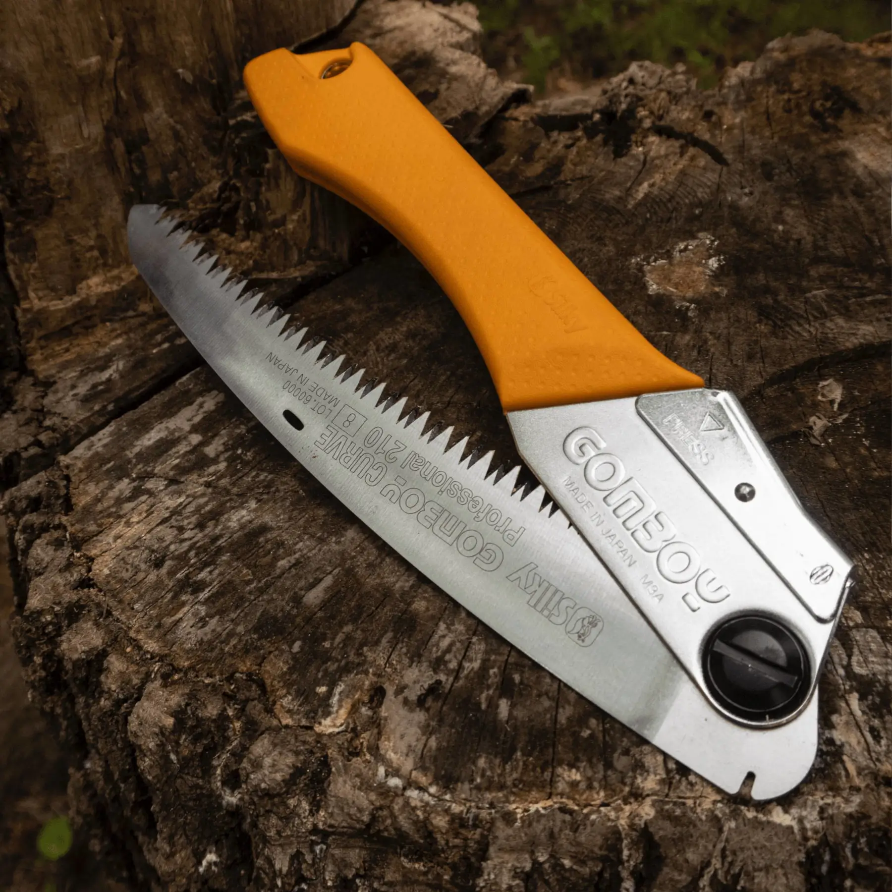 Gomboy folding saw