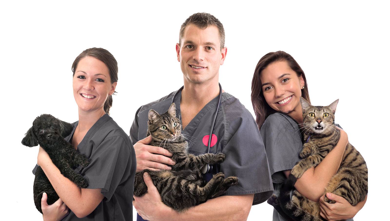 An unique and reduced-stress veterinary experience for both the pet and their humans. 