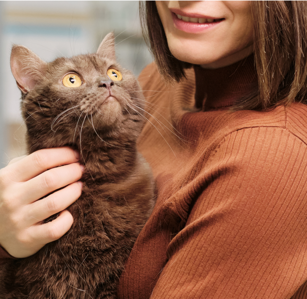 A provider holds her cat during a visit at Dr Treat