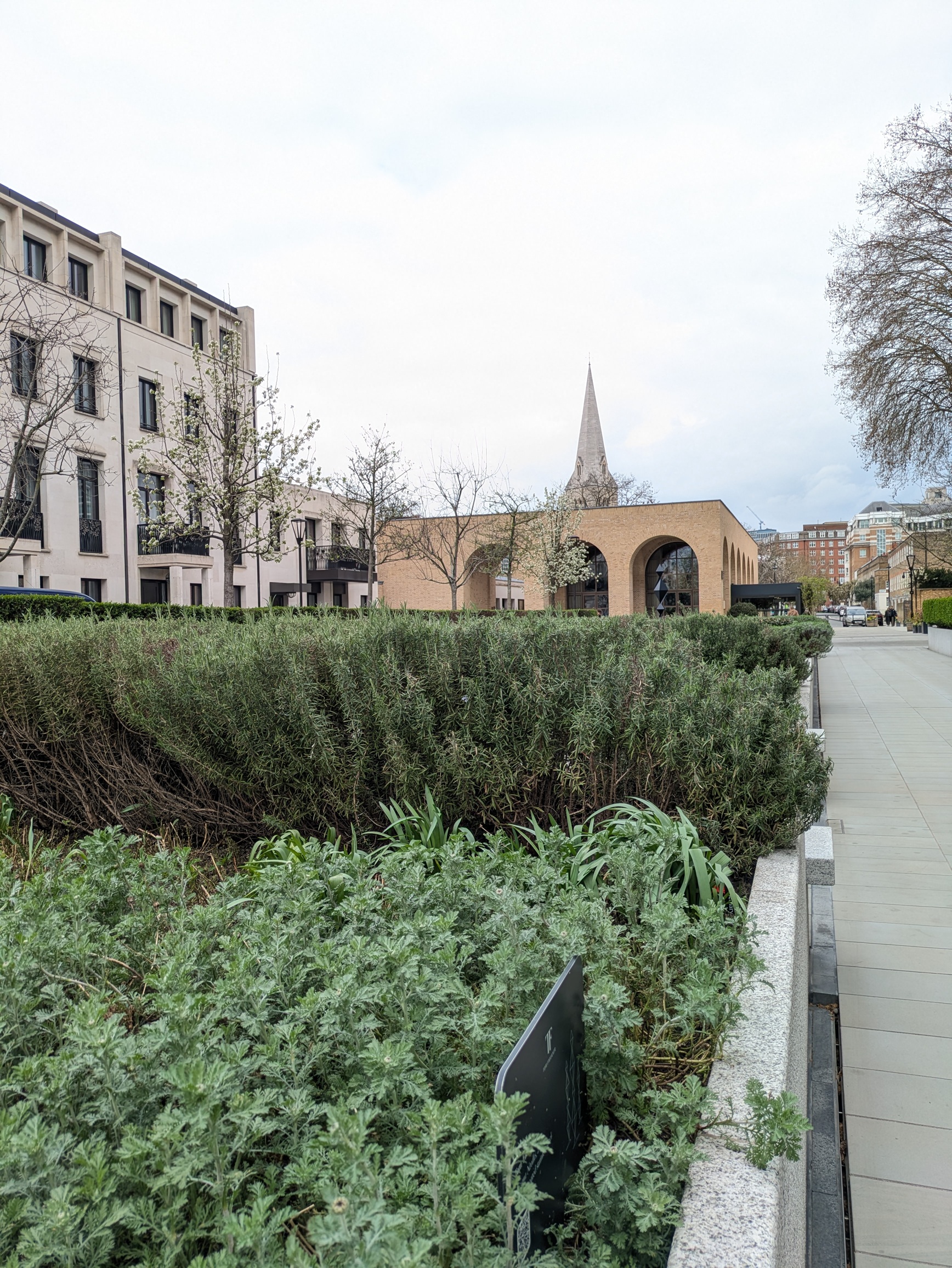 The herbs and spring garden in the landscaped area of Chelsea Barracks