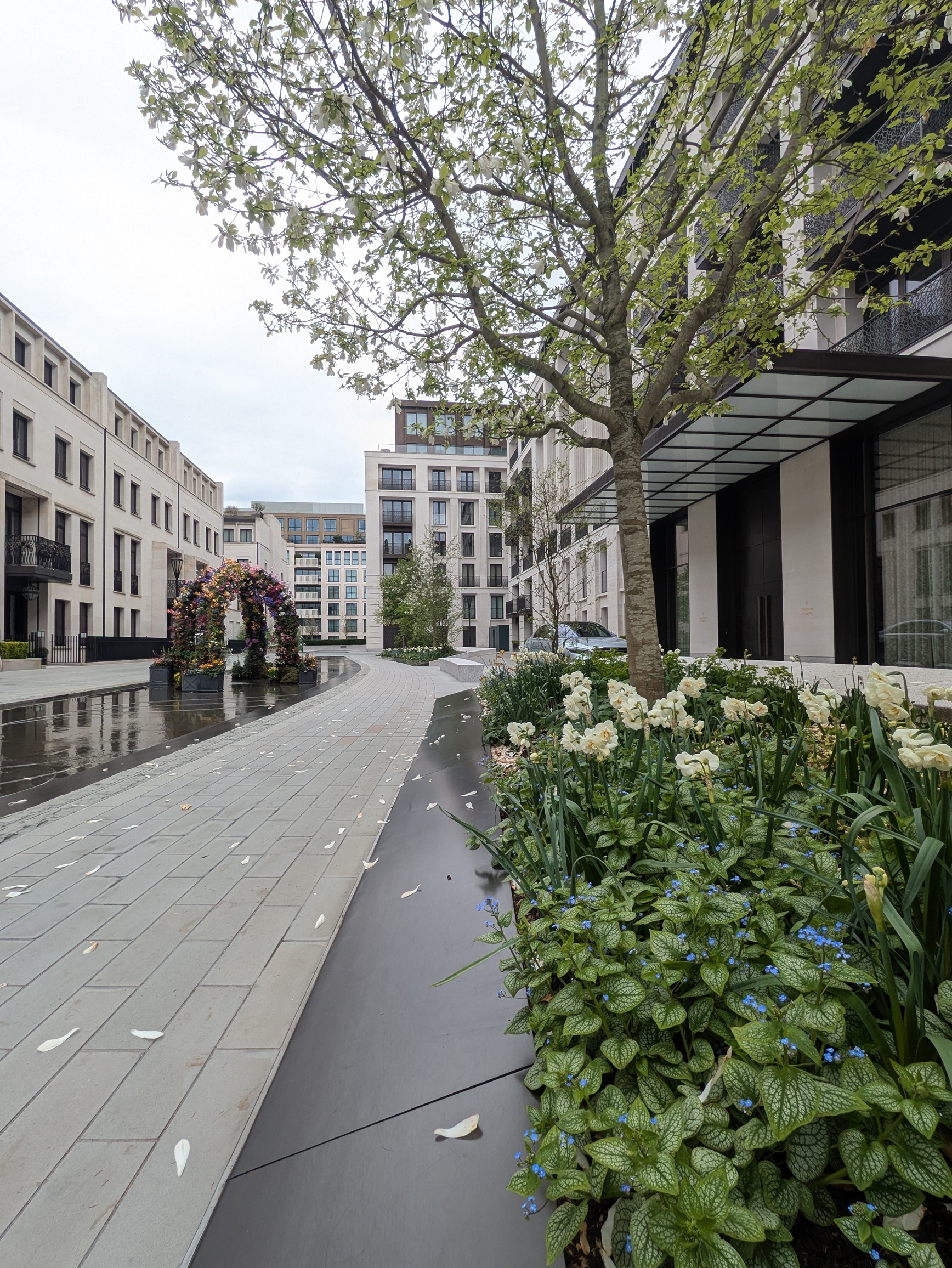 The spring flowers are featured in the landscaped water and garden areas of Chelsea Barracks